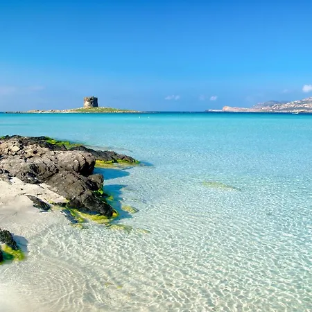 Sea 1km From The Villa Stintino